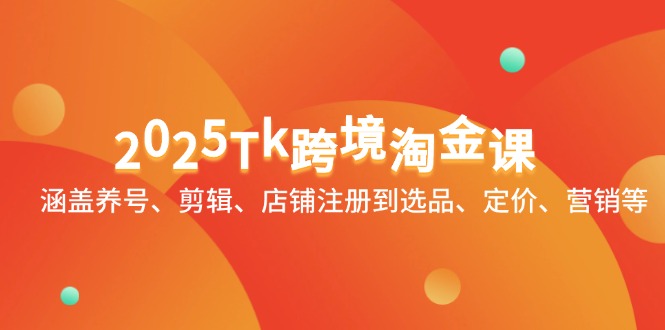 （14638期）2025Tk跨境淘金课：涵盖养号、剪辑、店铺注册到选品、定价、营销等-DE云网创
