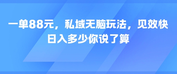 一单88元，私域无脑玩法，见效快，日入多少你说了算-DE云网创