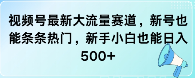 视频号最新大流量赛道，新号也能条条热门，新手小白也能日入5张-DE云网创