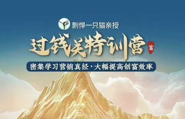剽悍一只猫-过钱关特训营，学习营销真经 大幅度提高创富效率-DE云网创