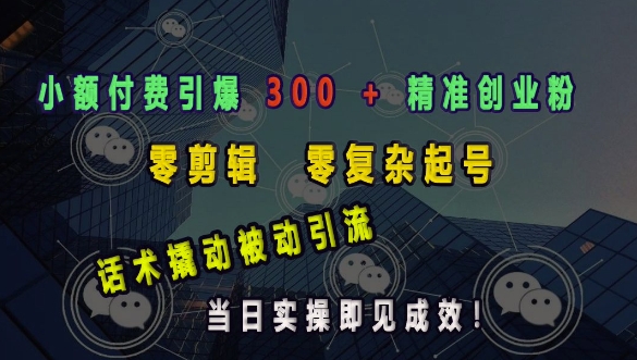 小额付费引爆 300 + 精准创业粉，零剪辑、零复杂起号，话术撬动被动引流，当日实操即见成效-DE云网创
