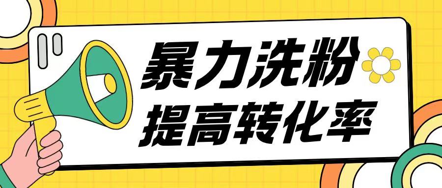 暴力养粉玩法15天轻松洗白创业粉高转化玩法-DE云网创