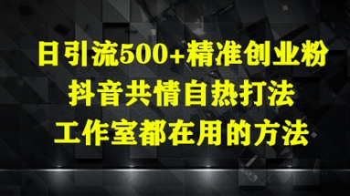 日引流500+精准创业粉，抖音共情自热打法，工作室都在用的方法-DE云网创