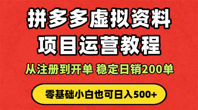 拼多多开店运营课程： 蓝海变现玩法，轻松实现睡后收入 零基础小白也可…-DE云网创