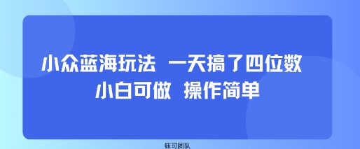 小众蓝海玩法 一天搞了四位数 小白可做 操作简单-DE云网创