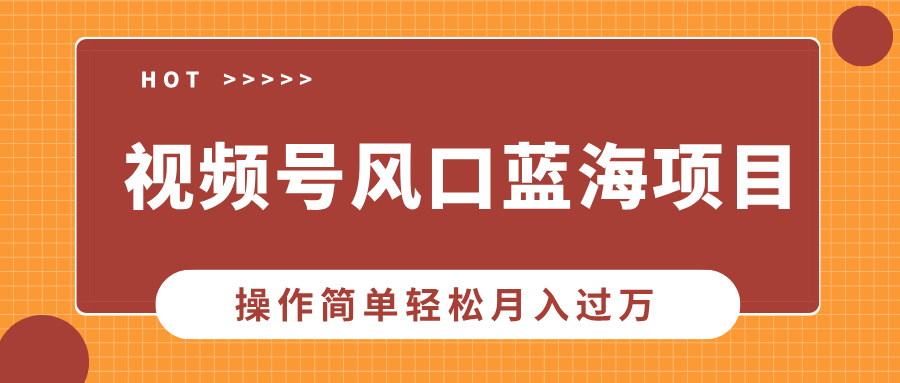 （13945期）视频号风口蓝海项目，中老年人的流量密码，操作简单轻松月入过万-DE云网创