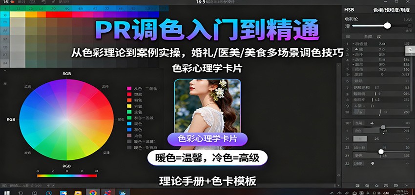 PR调色入门到精通:从色彩理论到案例实操,婚礼/医美/美食多场景调色技巧-DE云网创