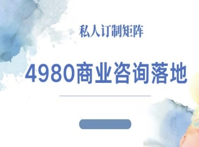 4980商业咨询师落地课程-ip运营高客单教程-DE云网创