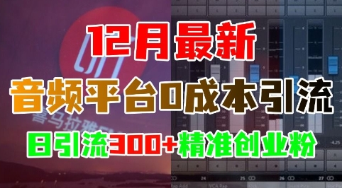 12月最新：音频平台0成本引流，日引流300+精准创业粉-DE云网创