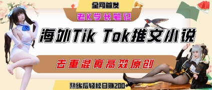 海外tiktok小说推文暴力项目，高停留率，高转化率，上手后一天搞顿饭钱不是问题-DE云网创