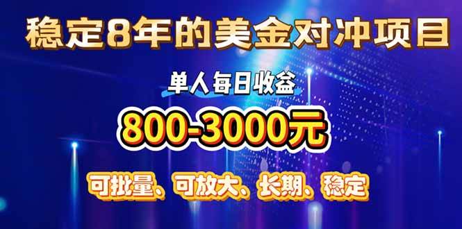 （15782期）稳定8年的美金对冲创业项目，单人每日收益800-3000，小众暴力项目-DE云网创