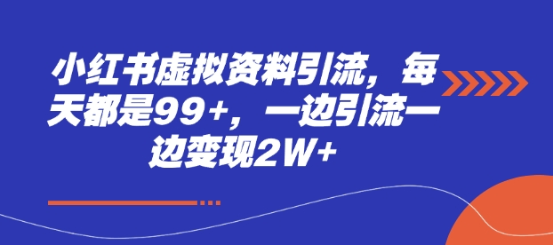 小红书虚拟资料引流，每天都是99+，一边引流一边变现2W+-DE云网创