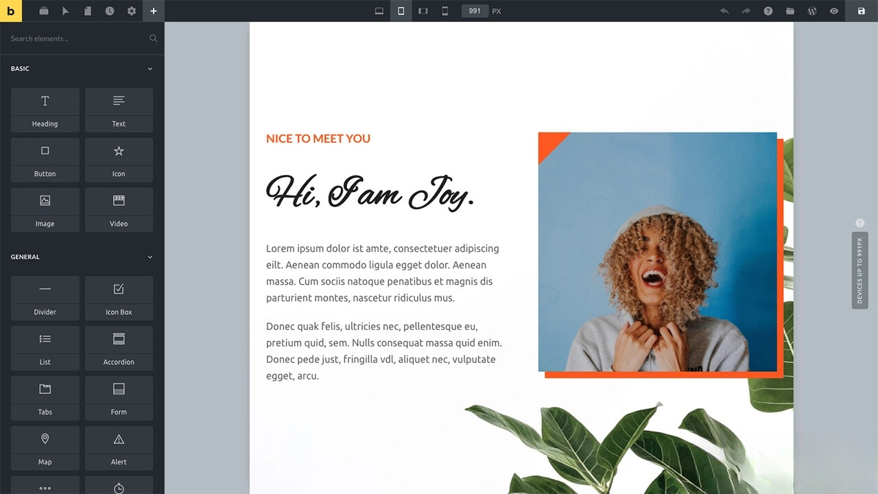 WordPress主题Bricks v1.9 破解版-DE云网创
