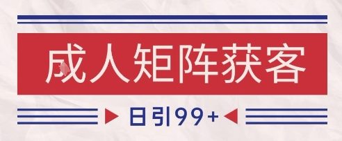 小红书某音橙人赛道引流获客，自热矩阵日引200+【揭秘】-DE云网创