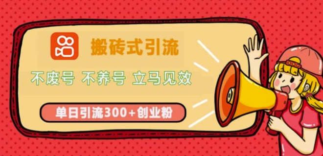 快手搬砖式引流，不废号，不养号，立马见效，单日引流300+精准创业粉-DE云网创