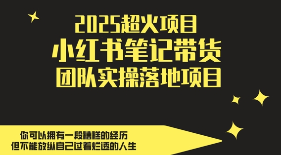 2025超火项目，副业最佳选择，小红书笔记带货团队实操落地项目，，轻松日入5张-DE云网创