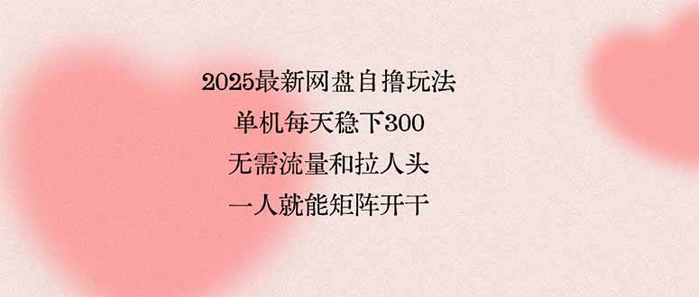 （15831期）2025最新网盘自撸玩法，单机每天稳下3张，无需流量和拉人头，一个人就…-DE云网创