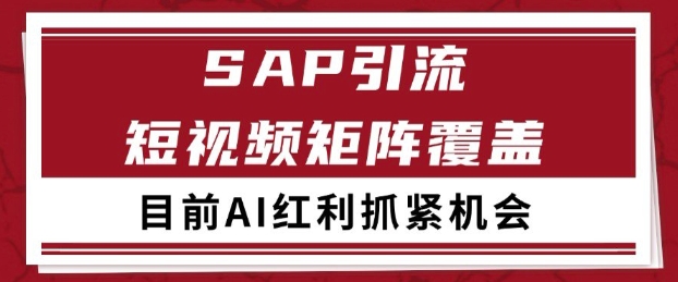 小红书某音sap赛道引流获客 自热矩阵日引200+【揭秘】-DE云网创