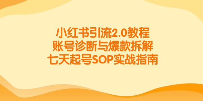 （14981期）小红书引流2.0教程，账号诊断与爆款拆解，七天起号SOP实战指南-DE云网创