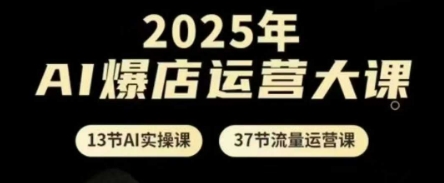 2025年AI爆店运营大课，13节AI实操课+37节流量运营课-DE云网创