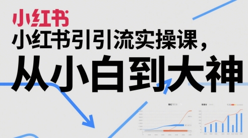小红书引流实操课，从小白到大神-DE云网创