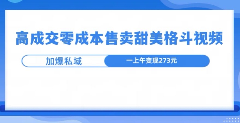 高成交零成本，售卖甜妹格斗视频，可以实现日入过k-DE云网创