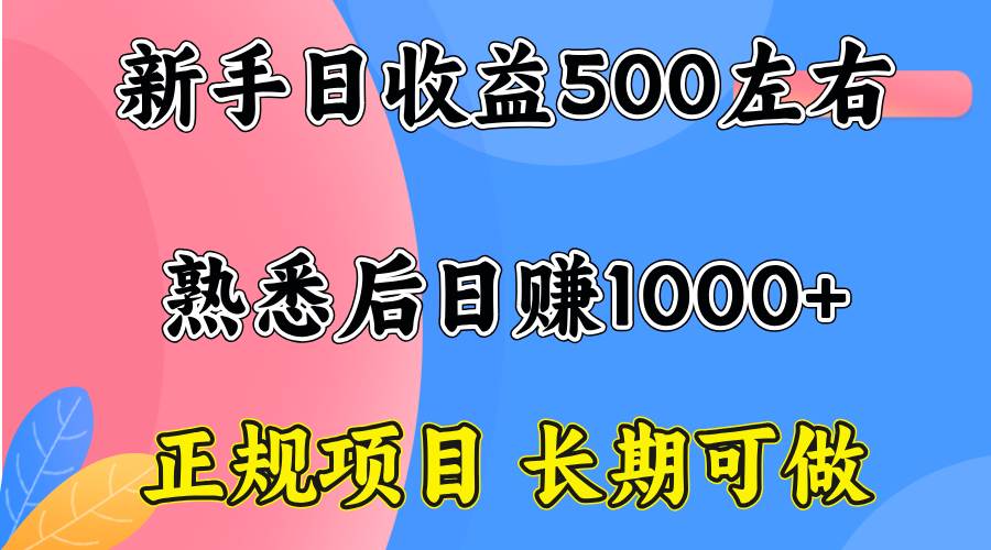 （15978期）一台电脑，前期日收益300-500，熟练后日入1000左右插图