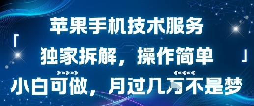 苹果手机技术服务，独家拆解，操作简单，小白可做，月过1W不是梦-DE云网创