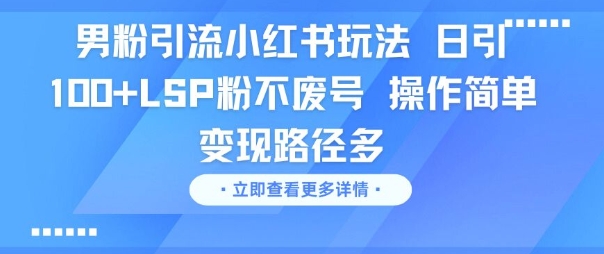 男粉引流小红书玩法，日引100+LSP粉不废号，操作简单，变现路径多-DE云网创