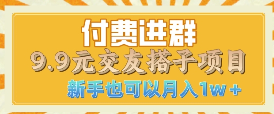 付费进群9.9交友搭子项目，熟练可矩阵操作，月收益过W-DE云网创