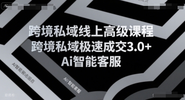 跨境私域线上高级课程，跨境私域极速成交3.0+Ai智能客服-DE云网创