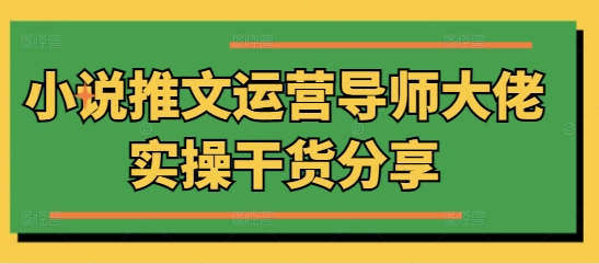 小说推文运营导师大佬实操干货分享-DE云网创