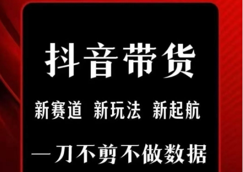 抖音短视频一刀不剪带货，不剪辑，不直播，每天发个视频，等着出单获取带货佣金-DE云网创