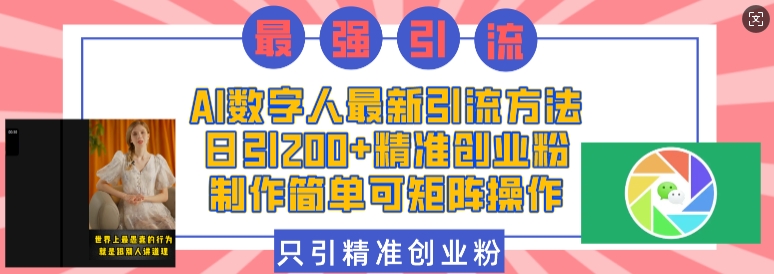 AI数字人最新引流方法，日引200+精准创业粉，制作简单可矩阵操作-DE云网创