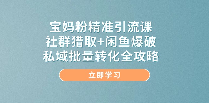 （14820期）宝妈粉精准引流课，社群猎取+闲鱼爆破，私域批量转化全攻略-DE云网创