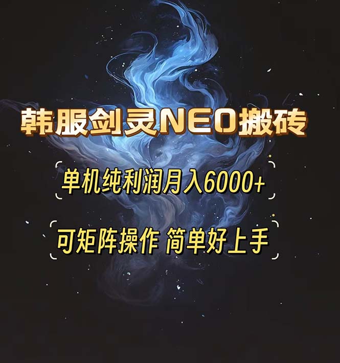 （13435期）韩服剑灵NEO搬砖攻略，单机纯利润月入6000+ 可矩阵操作，简单好上手。-DE云网创