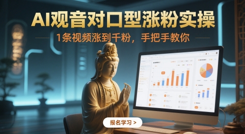 AI观音对口型涨粉实操，1条视频涨到千粉，手把手教你-DE云网创