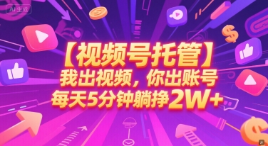 【视频号托管 】我出视频，你出账号，每天5分钟发布，最高躺挣2W+【揭秘】-DE云网创