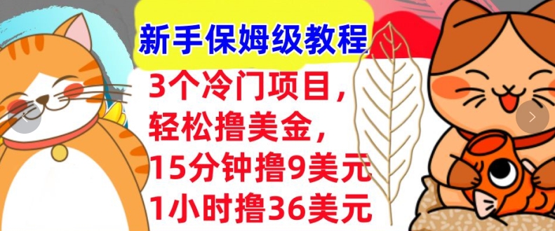 3个冷门项目，轻松撸美刀，1小时撸36刀，新手保姆级教程-DE云网创