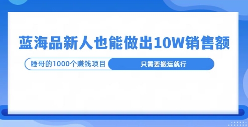 这个蓝海品，新号也能卖出10W的销售额，年底疯狂怼量就能出结果-DE云网创