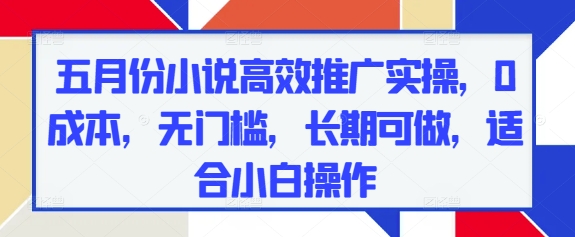 五月份小说高效推广实操，0成本，无门槛，长期可做，适合小白操作-DE云网创
