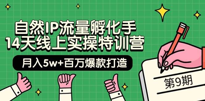 自然IP流量孵化手 14天线上实操特训营【第9期】月入5w+百万爆款打造 (74节)-DE云网创