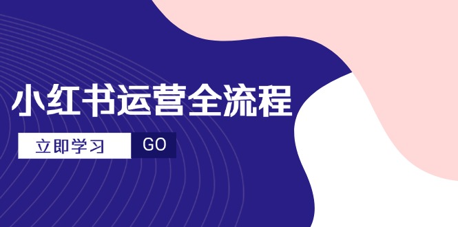 （14861期）小红书运营全流程，爆款选题文案，视频制作技巧，进阶达人宝典-DE云网创
