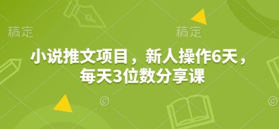 小说推文项目，新人操作6天，每天3位数分享课-DE云网创
