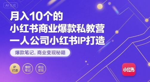 月入10个的小红书商业爆款私教营，一人公司小红书IP打造，爆款笔记，商业变现秘籍-DE云网创
