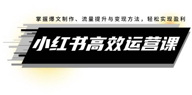小红书高效运营课：掌握爆文制作、流量提升与变现方法，轻松实现盈利-DE云网创