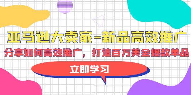亚马逊 大卖家-新品高效推广，分享如何高效推广，打造百万美金爆款单品-DE云网创
