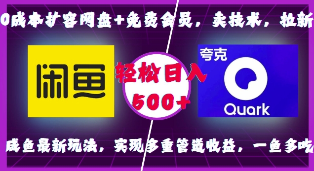 0成本扩容网盘+免费会员，卖技术，拉新，咸鱼最新玩法，实现多重管道收益，一鱼多吃，轻松日入500+-DE云网创