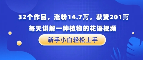 32个作品，涨粉14.7W，获赞201W，每天讲解一种植物的花语视频，无需任何技巧，新手小白轻松上手-DE云网创