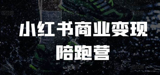 小红书商业变现陪跑营，小红书电商教程-DE云网创